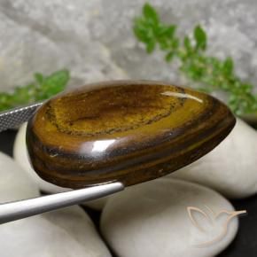Tiger's Eye Gemstone in 33.7 x 20.7 mm Size for Sale, Tiger's Eye Stone in Russet Brown Color
