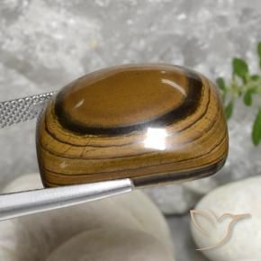 Tiger's Eye Gemstone in 22.2 x 19.6 mm Size for Sale, Tiger's Eye Stone in Golden Brown Color