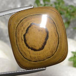 Golden Brown Tiger's Eye Gem - 23.8ct Cushion Cabochon (ID: 472383)
