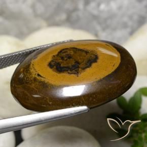 Tiger's Eye Gemstone in 27 x 20 mm (calibrated) Size for Sale, Tiger's Eye Stone in Warm Brown Color