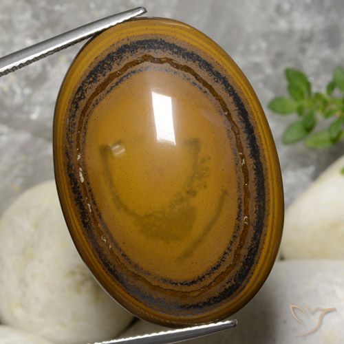 59.70ct Natural Medium-Dark Brown Tiger's Eye, Oval, Opaque