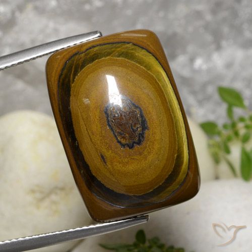 31.07 ct Brown Tiger's Eye Gemstone, Tiger's Eye Gem in Cushion Cabochon Shape for Sale.