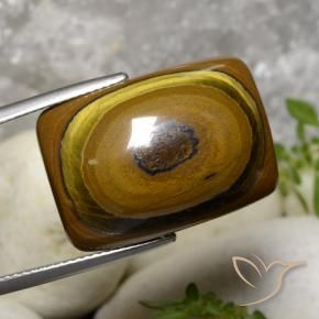 31.07 ct Brown Tiger's Eye Stone, Natural Tiger's Eye in Cushion Cabochon Shape for Sale