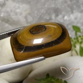 Tiger's Eye Gemstone in 22.9 x 15.9 mm Size for Sale, Tiger's Eye Stone in Medium Brown Color