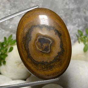 Medium Brown Tiger's Eye Gem - 57.3ct Oval Cabochon (ID: 472543)