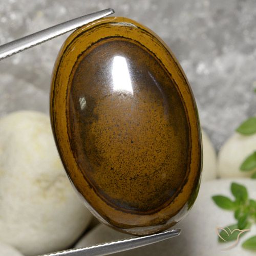 Brown Tiger's Eye Gem - 47.8ct Oval Cabochon (ID: 472544)