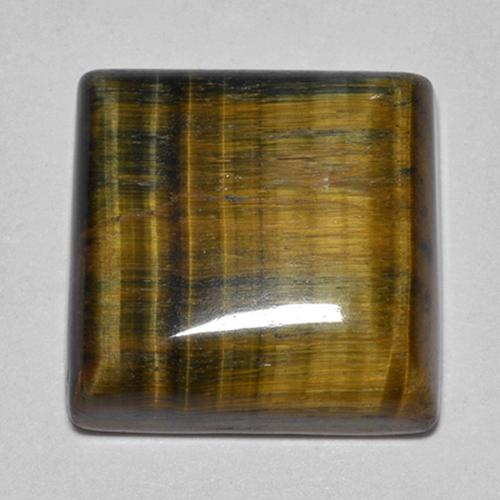 Multicolor Tiger's Eye Gem - 21.3ct Square Cabochon (ID: 514053)