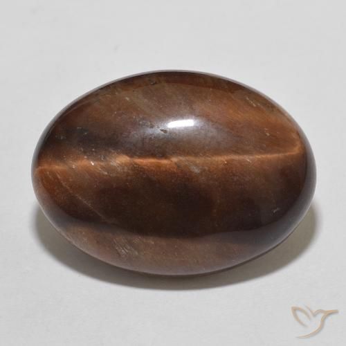 عين النمر البيضاوية 10.01 قيراط ، <cite dir="ltr" lang="en">18.4 x 13.5</cite> مم من الهند, Photo A