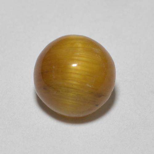 6,2mm Occhio di tigre marrone Cabochon rotondo dalla Thailandia, peso di 0,89 ct, pietra preziosa naturale non trattati in purezza Opaque, Occhio di tigre 1pz - il colore è Marrone dorato, durezza Mohs di 6,5 - 7 adatto per gioielli da indossare ogni giorno, Photo A
