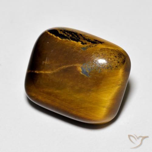8.75 ct Cushion Tiger's Eye, 14 x 11.8 mm From Thailand, Photo A