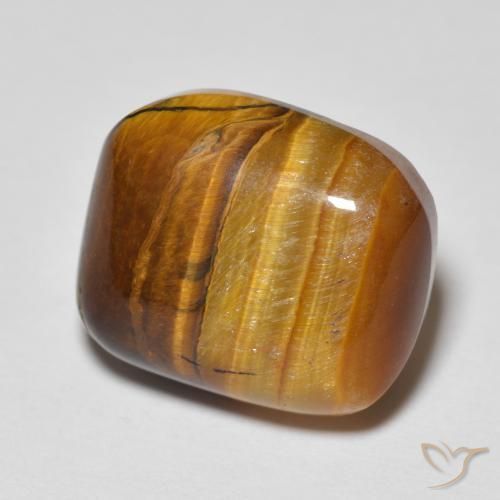 8.23 ct Cushion Tiger's Eye, 13.9 x 11.9 mm From Thailand, Photo A