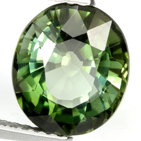 3.55 ct Green Tourmaline Stone, Natural Tourmaline in Oval Facet Shape for Sale