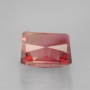 Tourmaline Gemstone in 8.9 x 7.6 mm Size for Sale, Tourmaline Stone in Bi-color Color