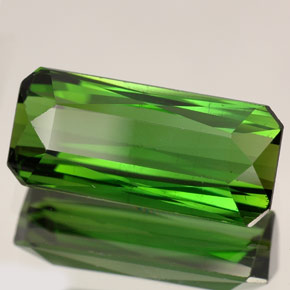 7.45 ct Green Tourmaline Gemstone, Tourmaline Gem in Octagon / Scissor Cut Shape for Sale.