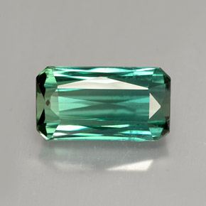 4.04 ct Green Tourmaline Gemstone, Tourmaline Gem in Octagon / Scissor Cut Shape for Sale.