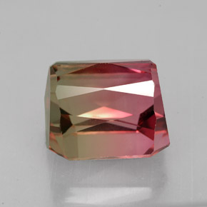 Tourmaline Gemstone in 10.2 x 10 mm Size for Sale, Tourmaline Stone in Bi-color Color
