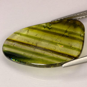 Tourmaline Gemstone in 19.2 x 13.7 mm Size for Sale, Tourmaline Stone in Multicolor Color