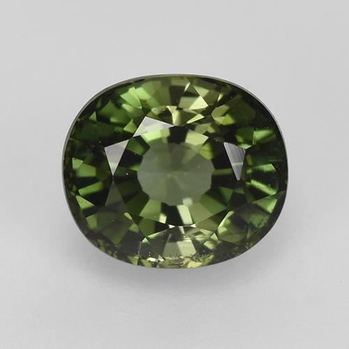 1.5ct Oval Facet Green Tourmaline Gem for sale 1.5ct Oval Facet Green Tourmaline Gem (ID: 230296)