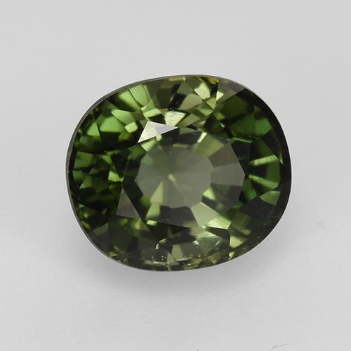 1.53 ct Green Tourmaline Stone, Natural Tourmaline in Oval Facet Shape for Sale