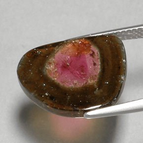 Tourmaline Gemstone in 16.5 x 13.5 mm Size for Sale, Tourmaline Stone in Multicolor Color