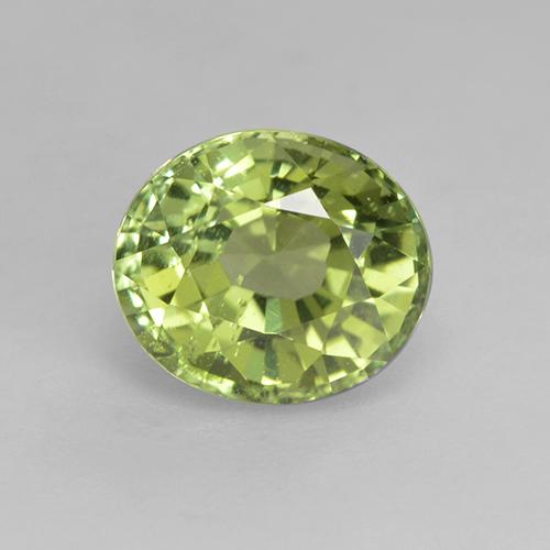 1.3ct Oval Facet Green Tourmaline Gem for sale 1.3ct Oval Facet Green Tourmaline Gem (ID: 232014)
