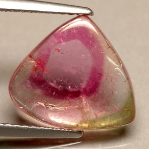 3.30 ct Bi-color Tourmaline Stone, Natural Tourmaline in Sliced Crystal Shape for Sale