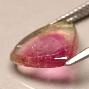 Tourmaline Gemstone in 13.2 x 11.6 mm Size for Sale, Tourmaline Stone in Bi-color Color