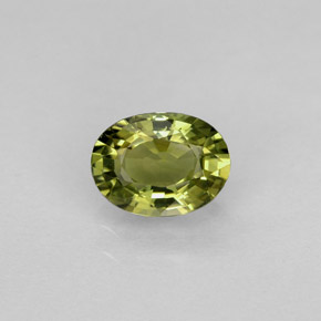 0.88 ct Green Tourmaline Gemstone, Tourmaline Gem in Oval Facet Shape for Sale.