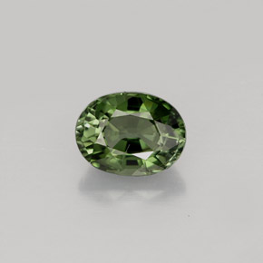 1.01 ct Green Tourmaline Gemstone, Tourmaline Gem in Oval Facet Shape for Sale.