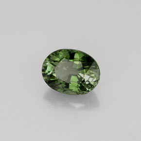 1.01 ct Green Tourmaline Stone, Natural Tourmaline in Oval Facet Shape for Sale