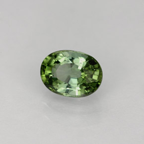 1.08 ct Green Tourmaline Stone, Natural Tourmaline in Oval Facet Shape for Sale