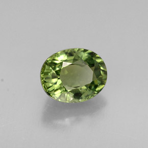 0.83 ct Green Tourmaline Stone, Natural Tourmaline in Oval Facet Shape for Sale