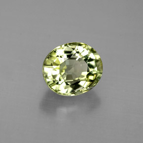 0.87 ct Green Tourmaline Stone, Natural Tourmaline in Oval Facet Shape for Sale