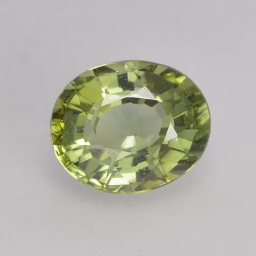 0.79 ct Green Tourmaline Gemstone, Tourmaline Gem in Oval Facet Shape for Sale.