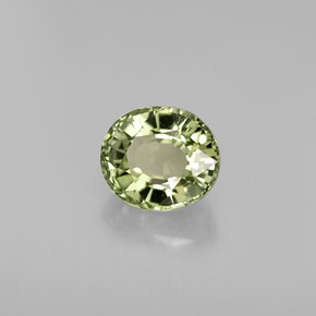 0.79 ct Green Tourmaline Stone, Natural Tourmaline in Oval Facet Shape for Sale