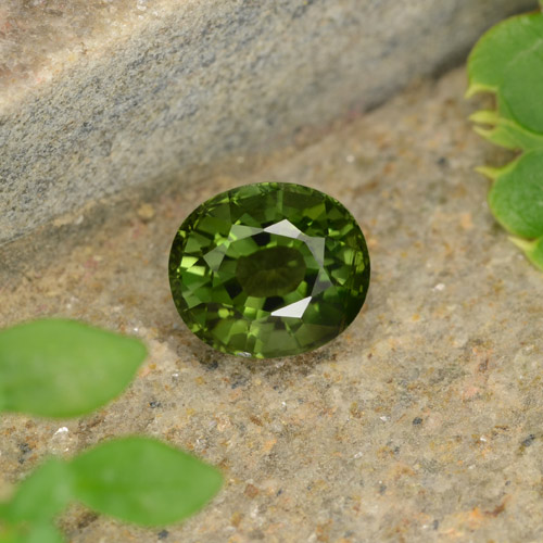 Deep Forest Green Tourmaline Gem - 1.6ct Oval Facet (ID: 253143)