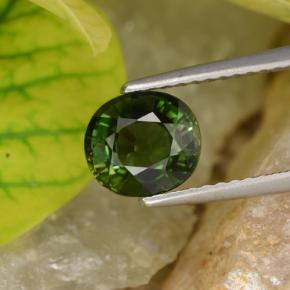 Dark Green Turmalin Edelstein - 1.5ct Oval facettiert (ID: 253145)