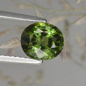 1.50 ct Green Tourmaline Gemstone, Tourmaline Gem in Oval Facet Shape for Sale.