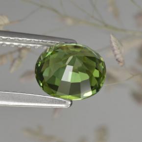 Tourmaline Gemstone in 7.4 x 6.5 mm Size for Sale, Tourmaline Stone in Green Color