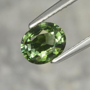 1.02 ct Green Tourmaline Gemstone, Tourmaline Gem in Oval Facet Shape for Sale.