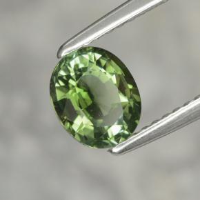 1.02 ct Green Tourmaline Stone, Natural Tourmaline in Oval Facet Shape for Sale