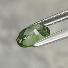 Tourmaline Gemstone in 7 x 5.8 mm Size for Sale, Tourmaline Stone in Forest Green Color