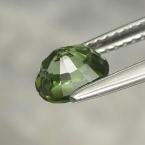 Tourmaline Gemstone in 6.8 x 5.8 mm Size for Sale, Tourmaline Stone in Medium Green Color