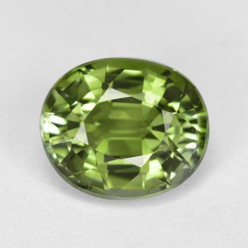 Verde bosque Turmalina Gema - 1.3ct Forma ovalada (ID: 255784)