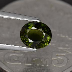 1.23 ct Green Tourmaline Gemstone, Tourmaline Gem in Oval Facet Shape for Sale.
