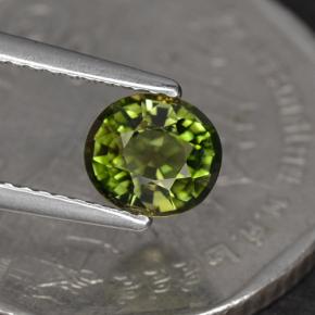1.05 ct Green Tourmaline Gemstone, Tourmaline Gem in Oval Facet Shape for Sale.