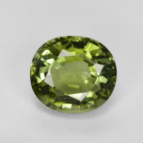 Verde amarillento Turmalina Gema - 1.5ct Forma ovalada (ID: 260043)