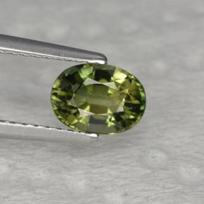 1.1ct Oval Facet Yellowish Green Tourmaline Gem for sale 1.1ct Oval Facet Yellowish Green Tourmaline Gem (ID: 261201)