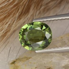1.20 ct Green Tourmaline Gemstone, Tourmaline Gem in Oval Facet Shape for Sale.