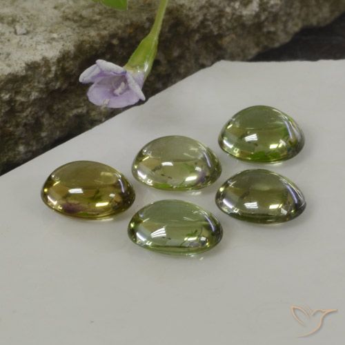 5.25 ctw Multicolor Tourmaline Gemstones, Tourmaline Gems in Oval Cabochon Shape for Sale.